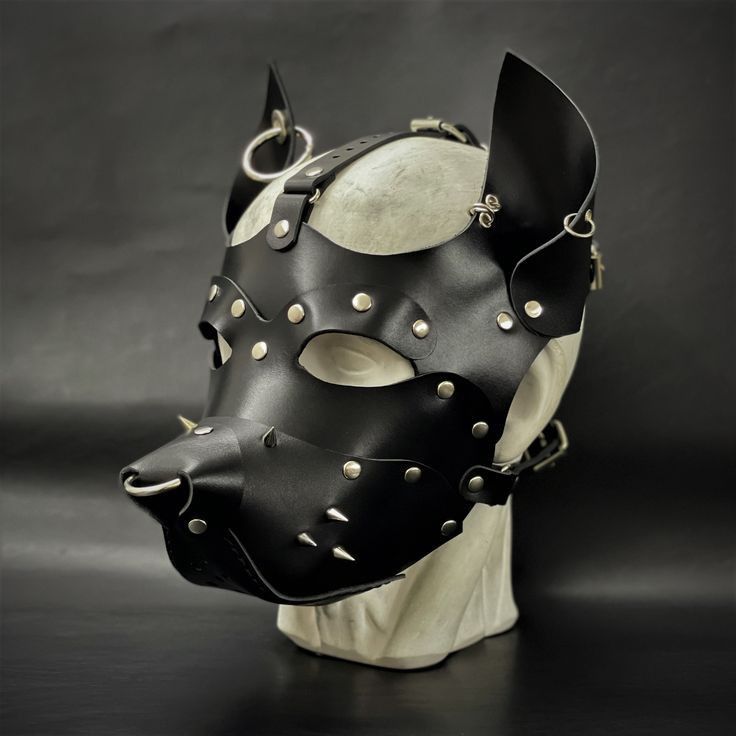 Leather Mask And Hood