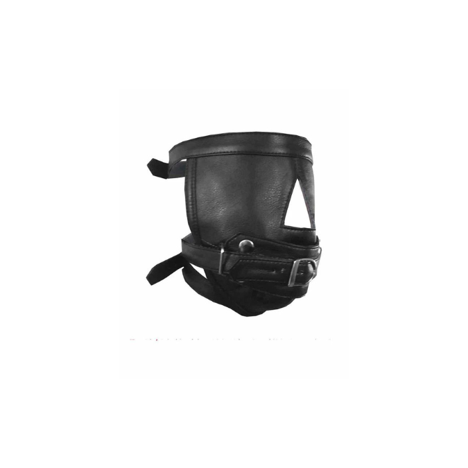 Face Mask Hood